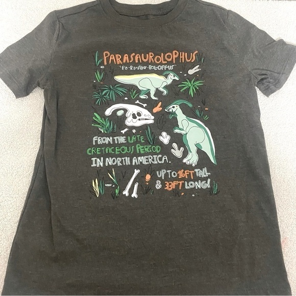 Boys' Dinosaur Graphic Short Sleeve T-Shirt - Cat & Jack Charcoal Gray Small EUC - Picture 1 of 6